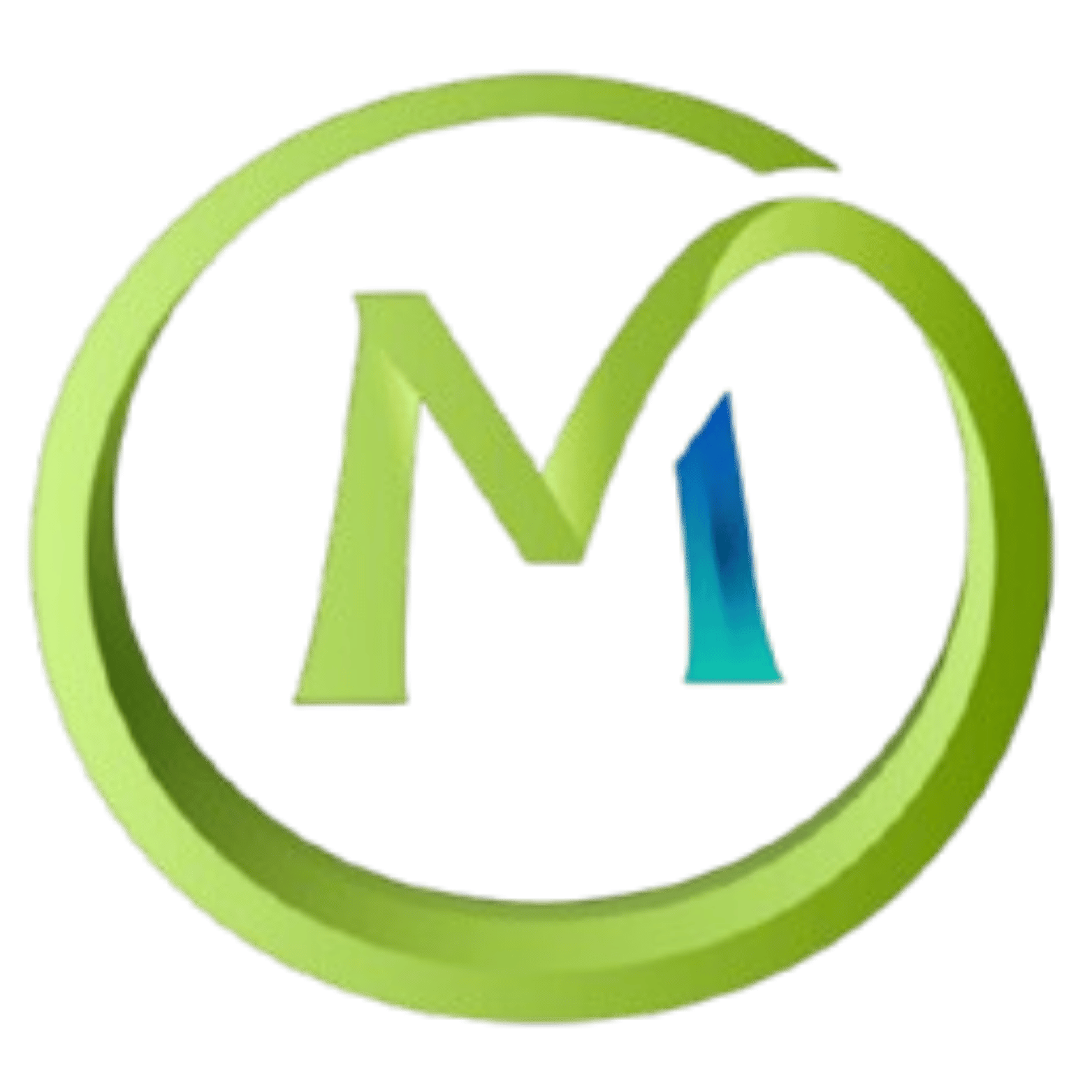 MONEY MINNER INVESTMENT PRIVATE LIMITED